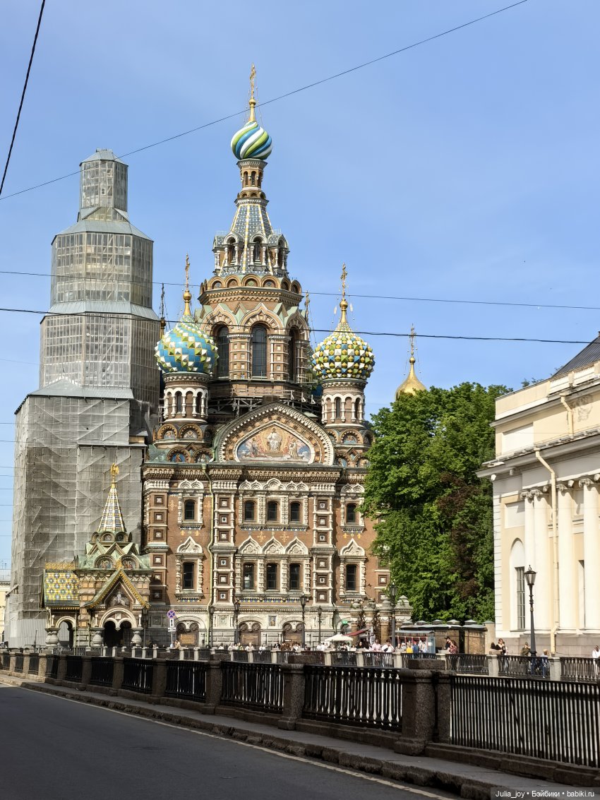 Жаркий питерский день и ворона-гопник (фото 5)