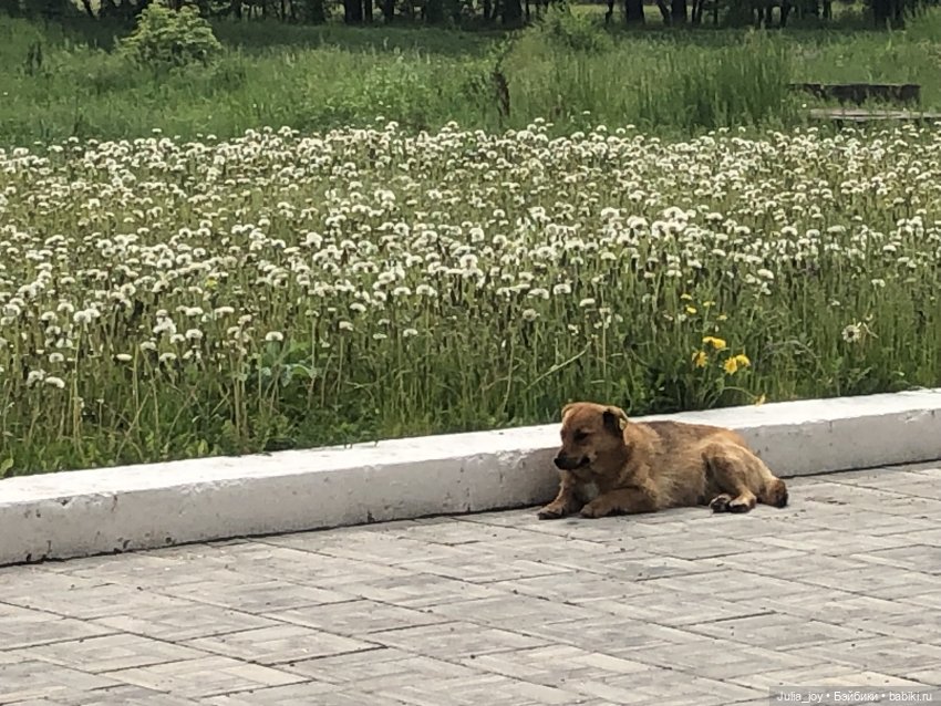 По следам тов. О. Бендера… (фото 4)
