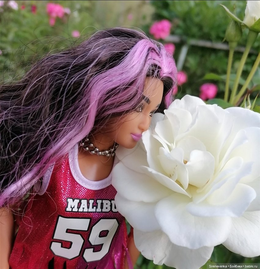 За грибами и ягодами — Куклы Barbie (Барби): Looks