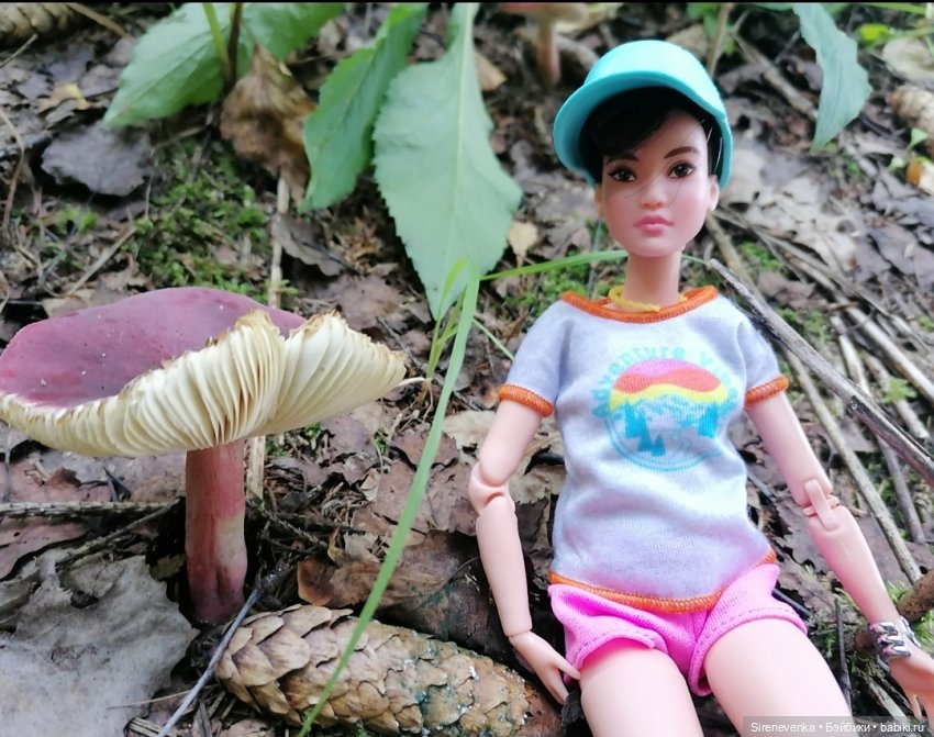 За грибами и ягодами — Куклы Barbie (Барби): Looks (фото 5)