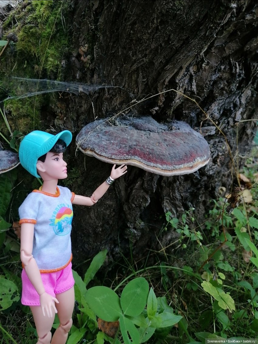 За грибами и ягодами — Куклы Barbie (Барби): Looks (фото 2)
