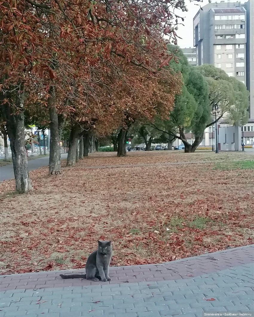 Один старый и один почти новый город