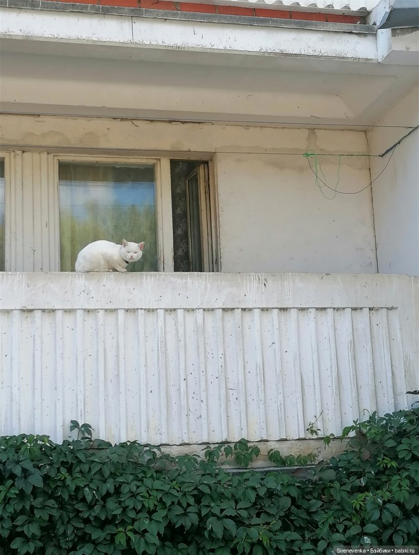 Один старый и один почти новый город