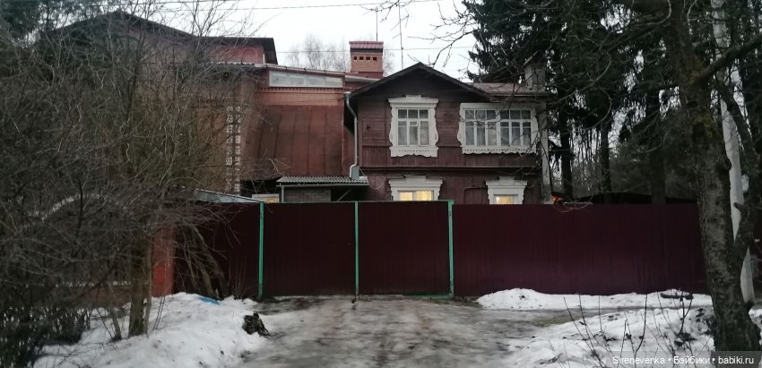 Путешествие к соснам — Туризм и путешествия: фотоотчеты из поездок