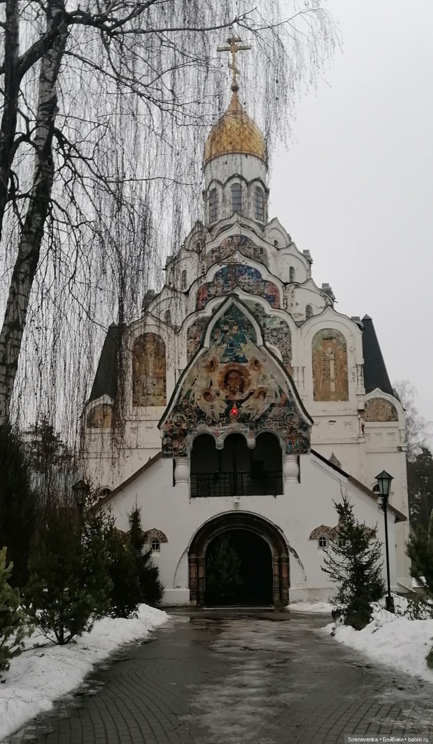 Путешествие к соснам — Туризм и путешествия: фотоотчеты из поездок