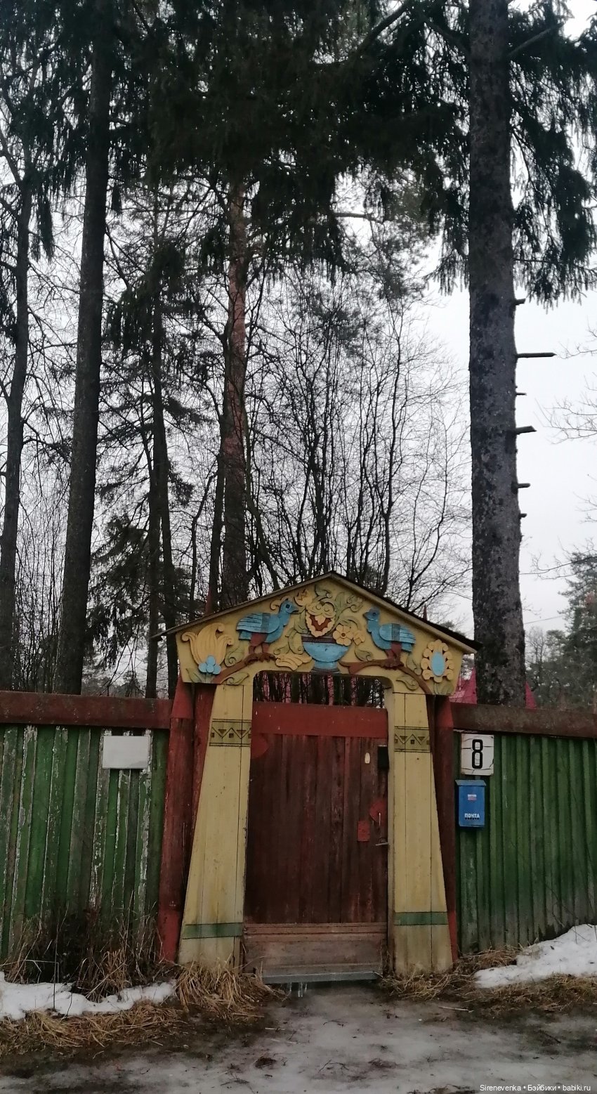 Путешествие к соснам — Туризм и путешествия: фотоотчеты из поездок (фото 9)