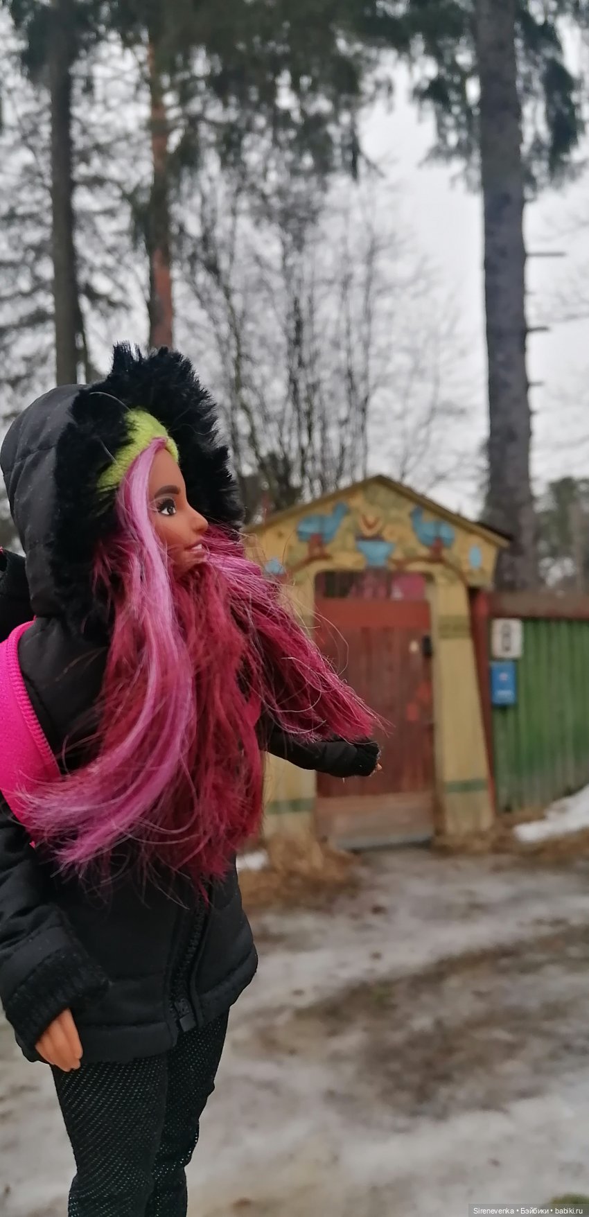 Путешествие к соснам — Туризм и путешествия: фотоотчеты из поездок (фото 8)