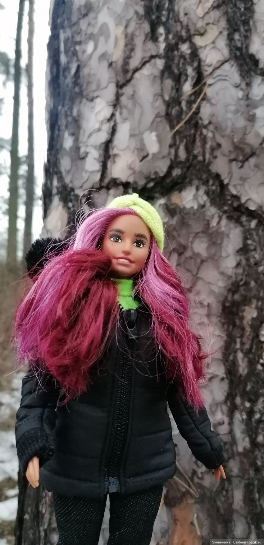 Путешествие к соснам — Туризм и путешествия: фотоотчеты из поездок (фото 4)