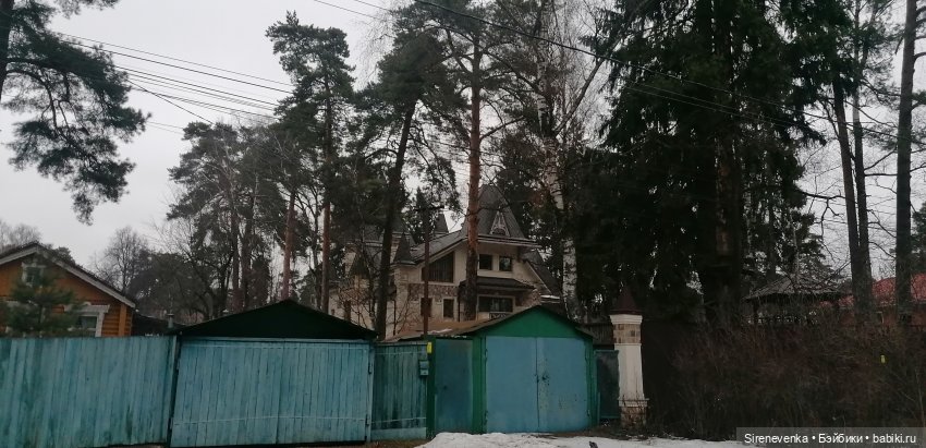 Путешествие к соснам — Туризм и путешествия: фотоотчеты из поездок (фото 7)