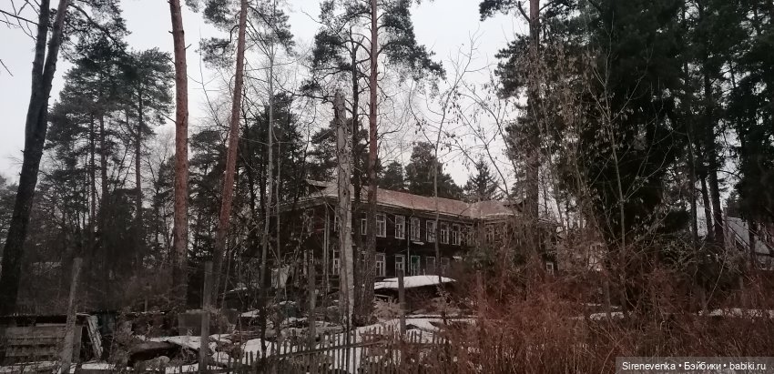 Путешествие к соснам — Туризм и путешествия: фотоотчеты из поездок