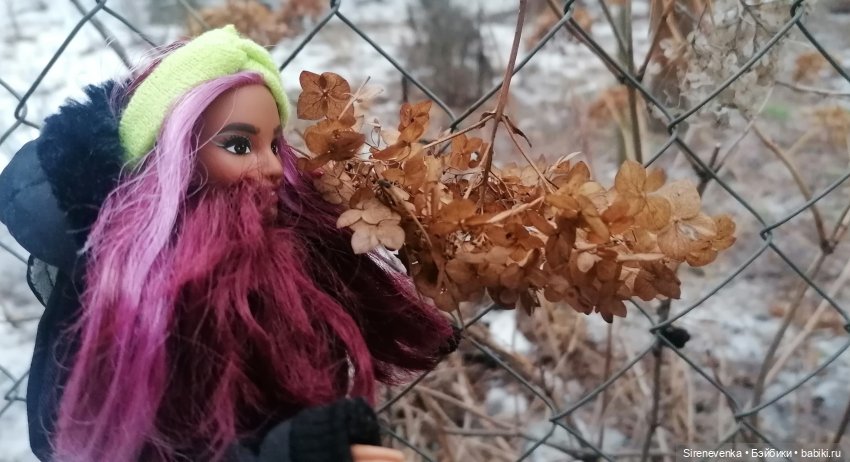 Путешествие к соснам — Туризм и путешествия: фотоотчеты из поездок (фото 3)