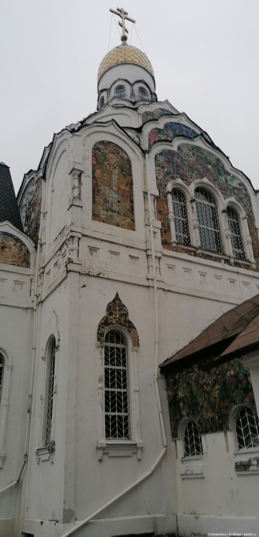 Путешествие к соснам — Туризм и путешествия: фотоотчеты из поездок