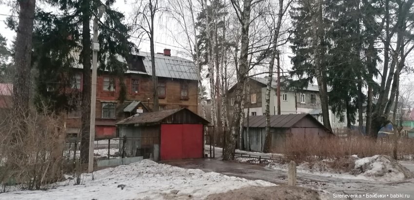 Путешествие к соснам — Туризм и путешествия: фотоотчеты из поездок