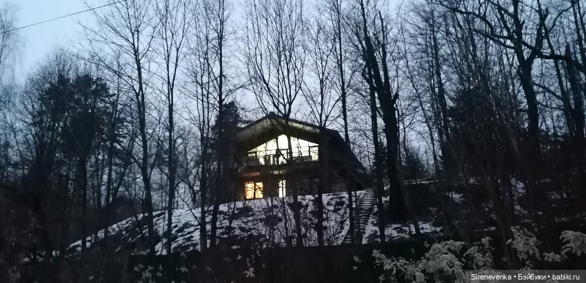 Путешествие к соснам — Туризм и путешествия: фотоотчеты из поездок