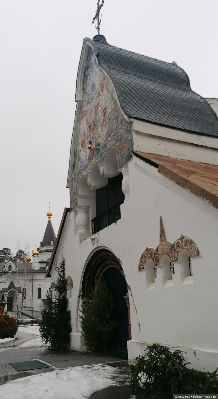 Путешествие к соснам — Туризм и путешествия: фотоотчеты из поездок