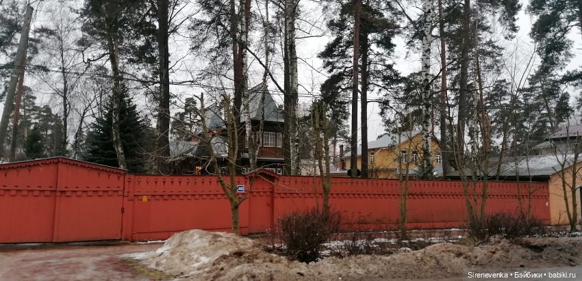 Путешествие к соснам — Туризм и путешествия: фотоотчеты из поездок (фото 10)