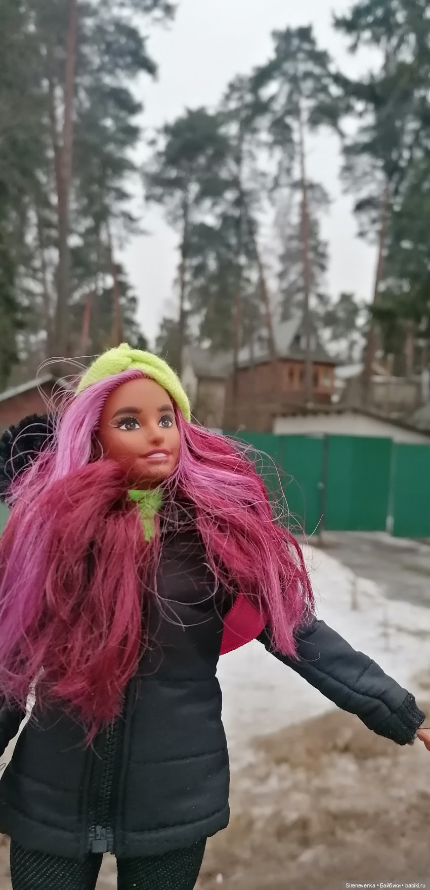 Путешествие к соснам — Туризм и путешествия: фотоотчеты из поездок (фото 6)