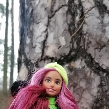 Путешествие к соснам