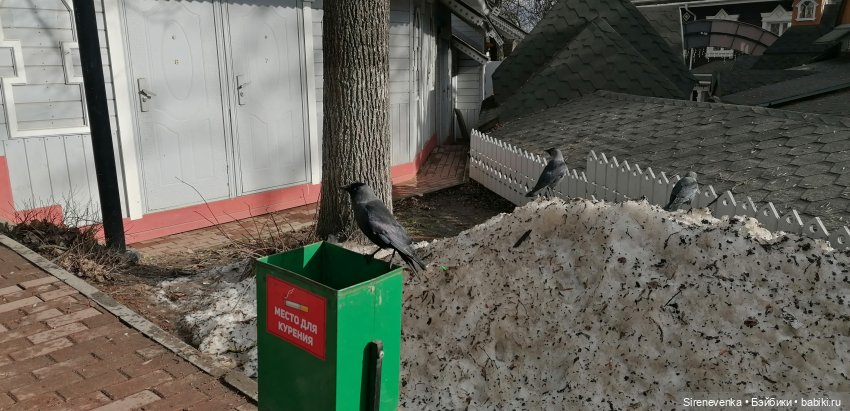 Сергиев Посад с Сашенькой