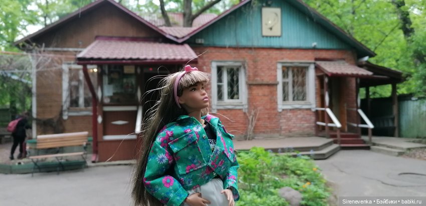 Как мы в Переделкино весну искали (фото 2)