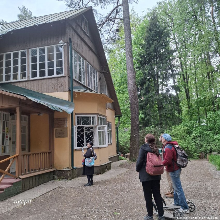 Как мы в Переделкино весну искали