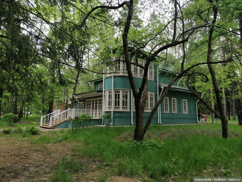 Как мы в Переделкино весну искали