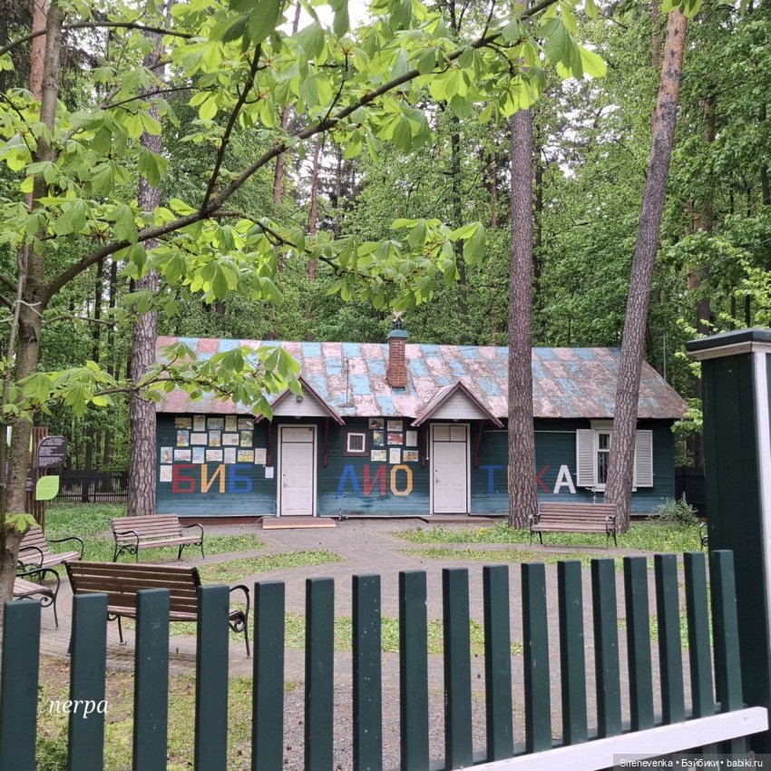 Как мы в Переделкино весну искали