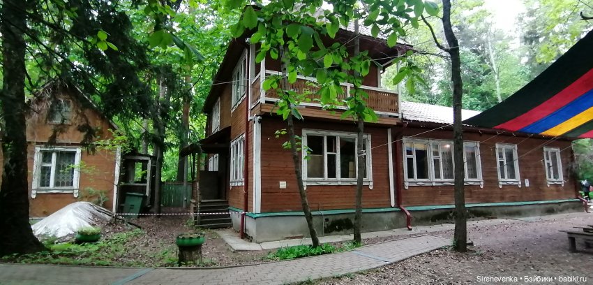 Как мы в Переделкино весну искали (фото 4)