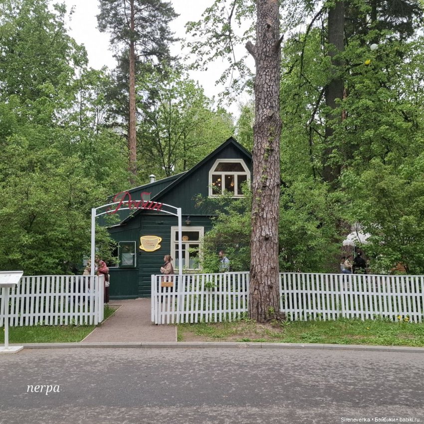 Как мы в Переделкино весну искали