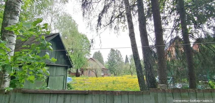 Как мы в Переделкино весну искали