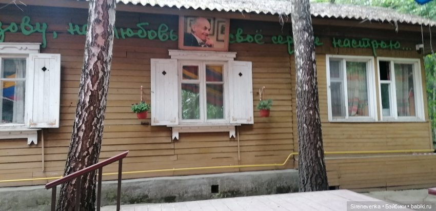 Как мы в Переделкино весну искали (фото 3)