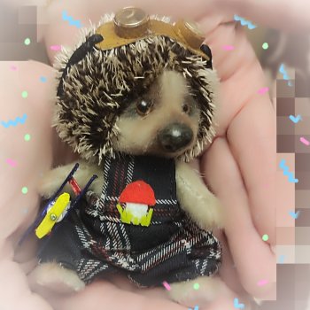 Леха авиатор