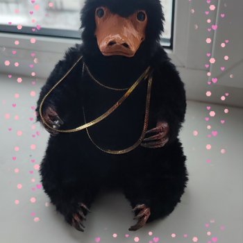 Маленький воришка