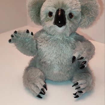 Коала Кевин