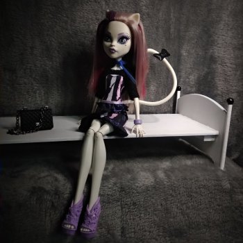 Кровать и книжный шкаф