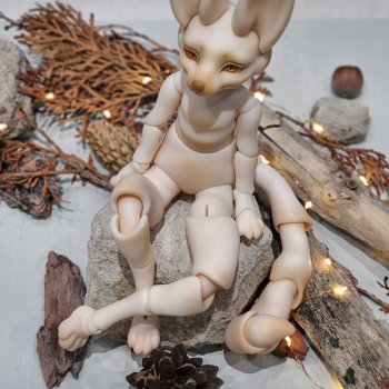 Лисички Dollscar 2024