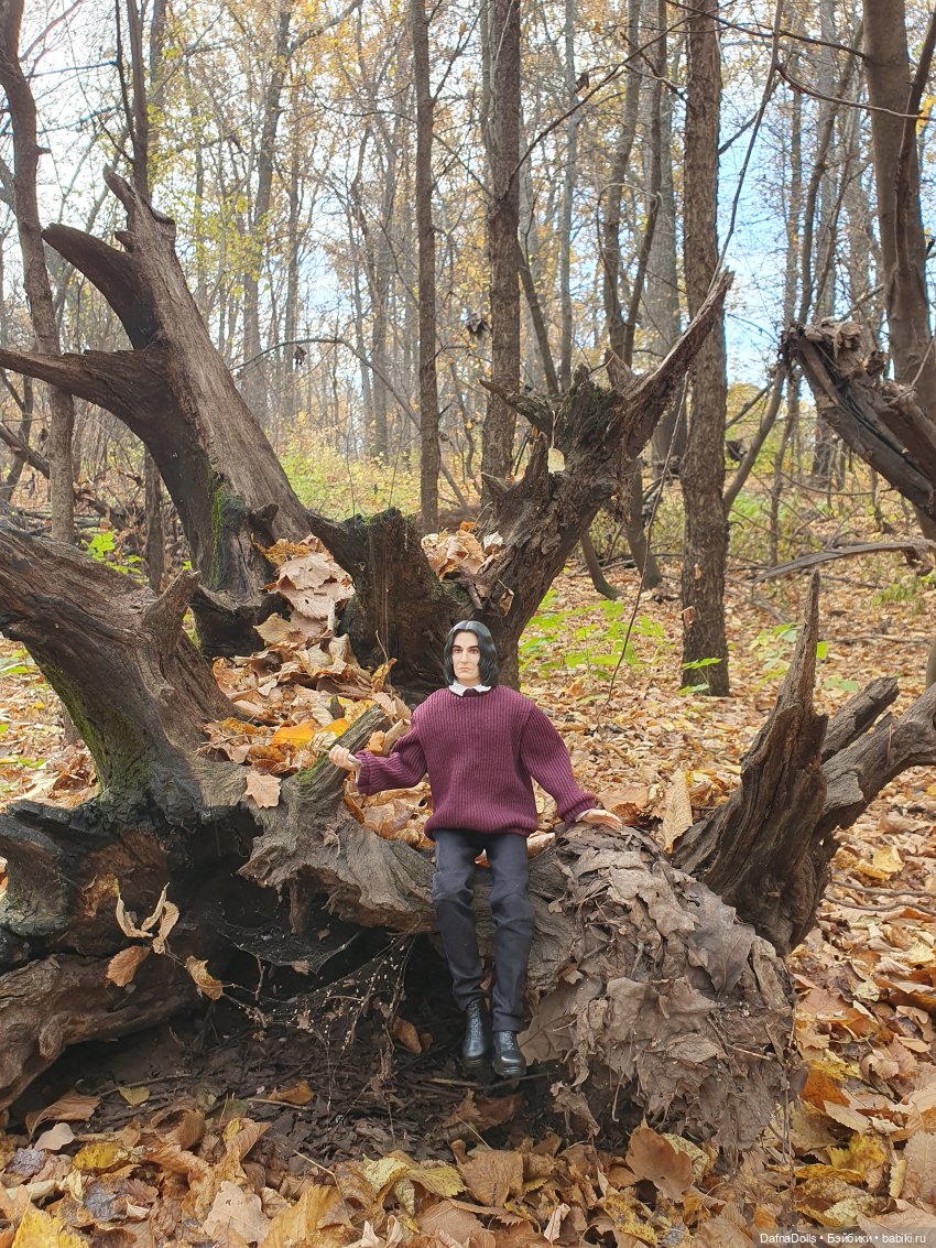 Профессор Снейп в поисках волшебного артефакта (фото 8)