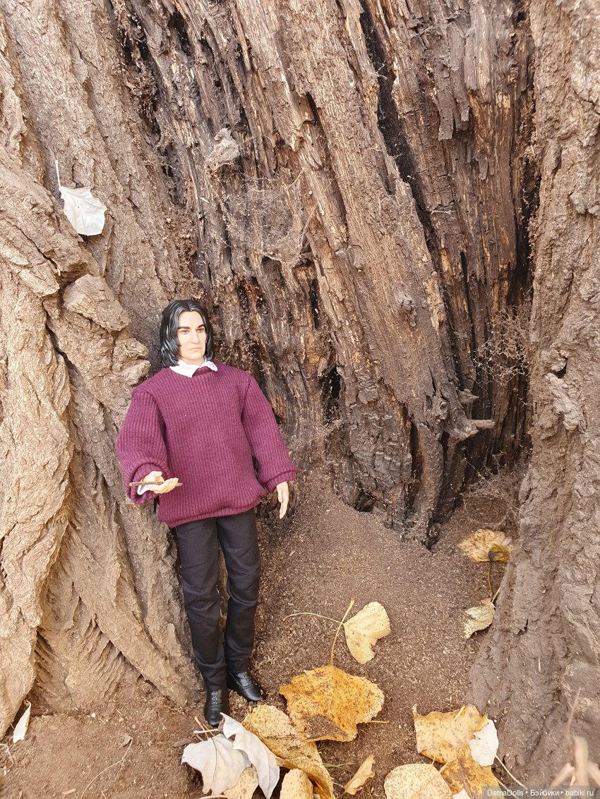 Профессор Снейп в поисках волшебного артефакта