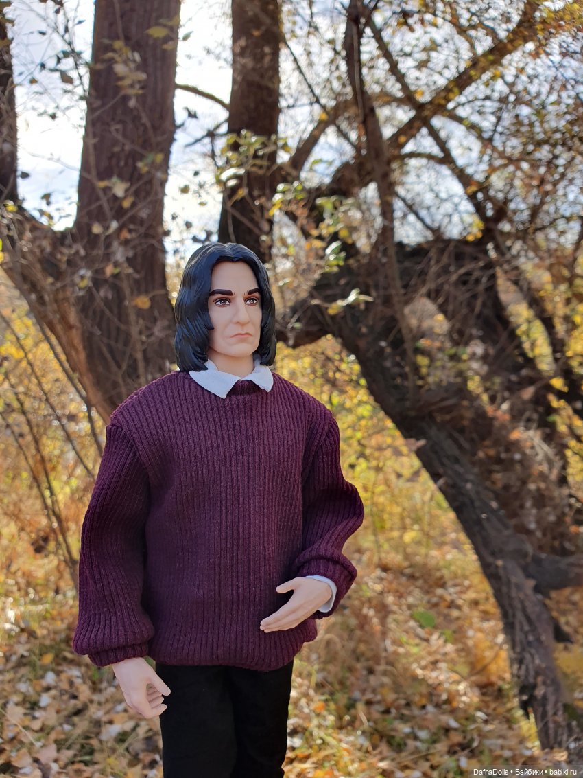 Профессор Снейп в поисках волшебного артефакта (фото 3)