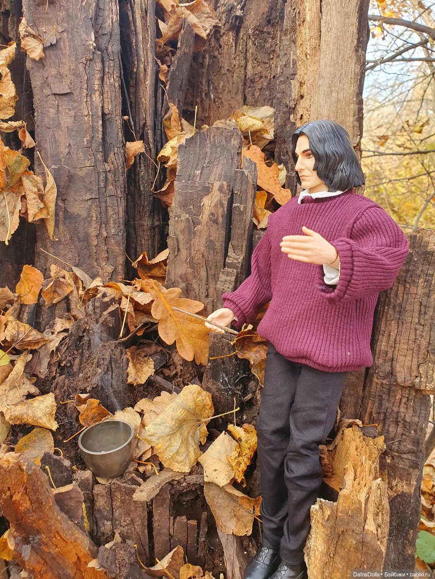 Профессор Снейп в поисках волшебного артефакта