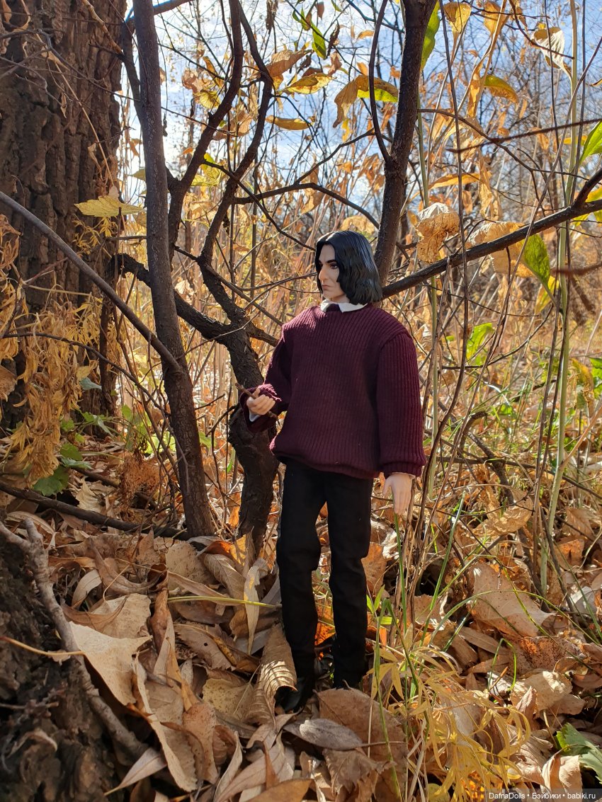 Профессор Снейп в поисках волшебного артефакта (фото 2)