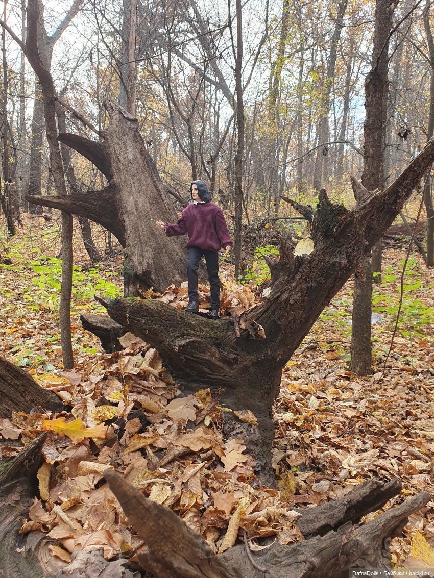 Профессор Снейп в поисках волшебного артефакта (фото 9)