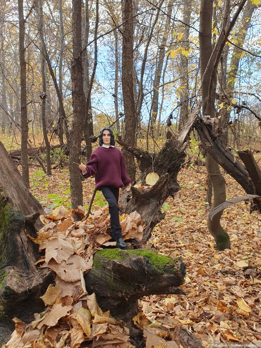 Профессор Снейп в поисках волшебного артефакта (фото 10)