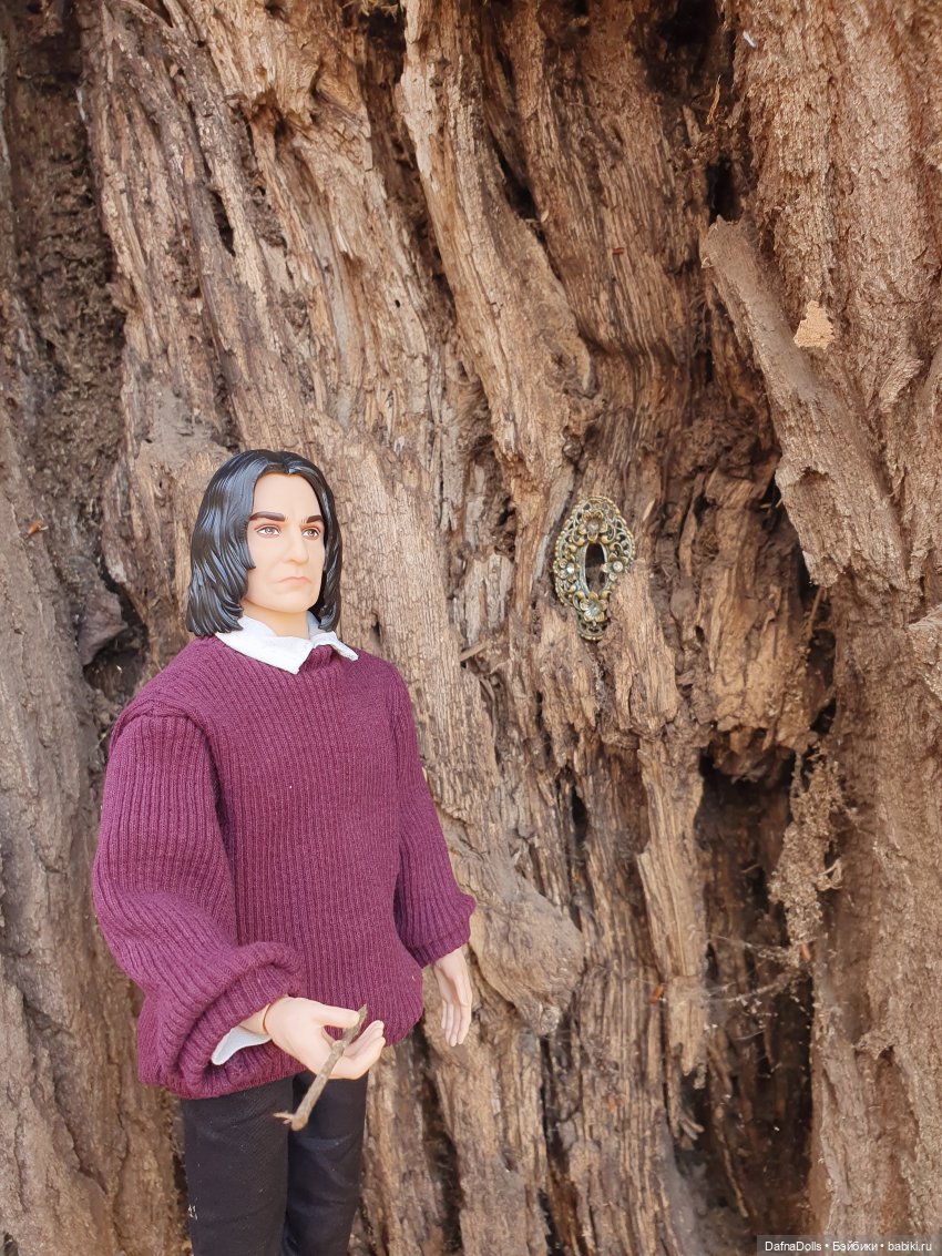 Профессор Снейп в поисках волшебного артефакта