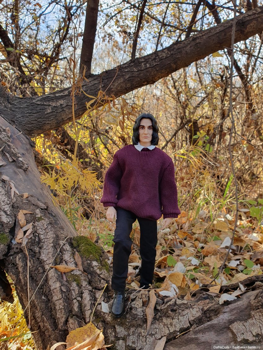 Профессор Снейп в поисках волшебного артефакта