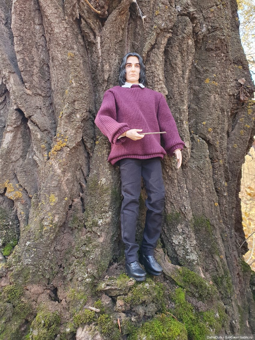 Профессор Снейп в поисках волшебного артефакта