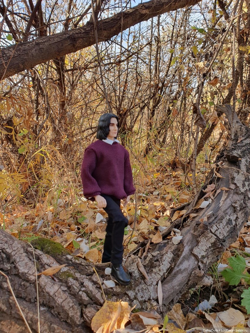 Профессор Снейп в поисках волшебного артефакта