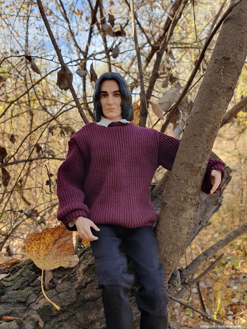 Профессор Снейп в поисках волшебного артефакта