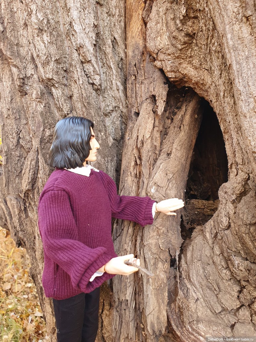 Профессор Снейп в поисках волшебного артефакта