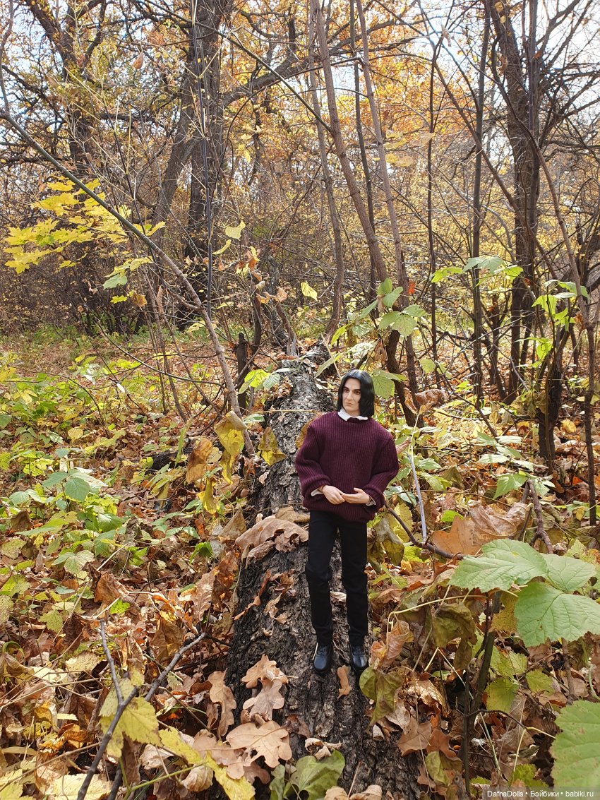 Профессор Снейп в поисках волшебного артефакта